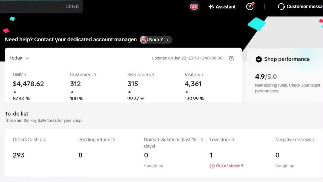 TikTok Portfolio 02, TikTok Shop performance dashboard screenshot