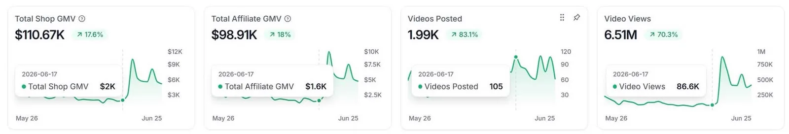 TikTok Portfolio 04, TikTok Shop performance dashboard screenshot